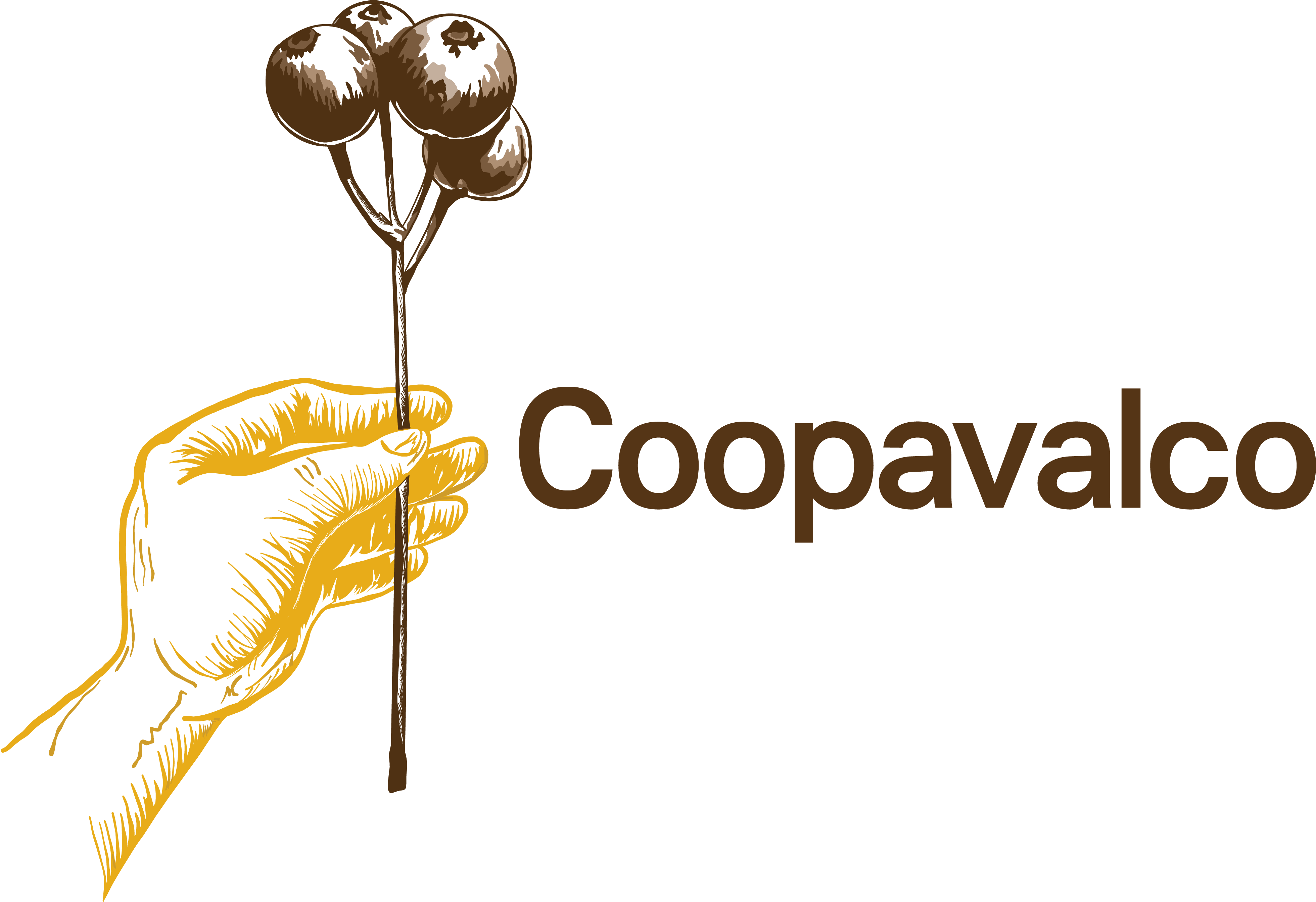 Coopavalco